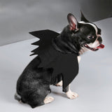 Halloween,Wings,Collar,Harness,Decor,Puppy,Black,Dress,Funny,Clothes