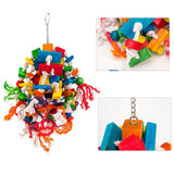 Length,Multicolor,Parrot,Chewing,Large,Medium,Parrot