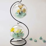 Hanging,Glass,Flower,Micro,Landscape,Terrarium,Support,Stand