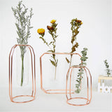 Glass,Flower,Holder,Plant,Container,Metal,Decorations