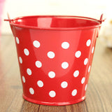 Polka,Sheet,Flower,Flower,Potted,Plant,Flowerpot,Garden,Decoration