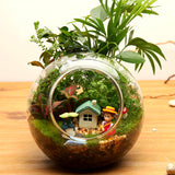 Shaped,Micro,Landscape,Glass,Bottle,Double,Holes,Succulent,Plants,Decoration