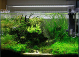 Chihiros,White,Colors,Aquarium,Light