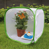 Green,Collapsible,Insect,Habitat,Butterfly,Transparent,Surface,Portable,Zipper,Plant,Breeding,Storage,Basket