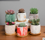 Garden,Ceramic,Succulent,Plants,Flower,Plant,Planters,Office,Garden,Decor