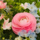 Egrow,Ranunculus,Seeds,Garden,Decoration,Bonsai,Plants,Flower,Seeds