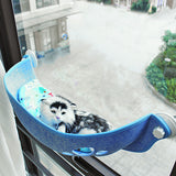 Window,Window,Perch,Hammock,Window