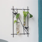 Simple,Metal,Frame,Hanging,Planter,Hydroponic,Hanging,Decorations,Plant,Container,Glass,Bottle