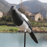 Lifelike,Magpie,Bunting,Hunting,Decoy,Outdoor,Training,Shooting,Target,Animal,Archery,Target