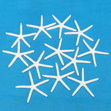 12Pcs,Beautiful,White,Finger,Starfish,Beach,Wedding,Coastal,Decorations